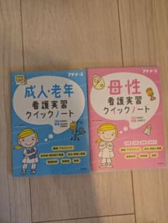 成人・老年看護実習クイックノート　母性看護実習クイックノート　プチナースのサムネイル