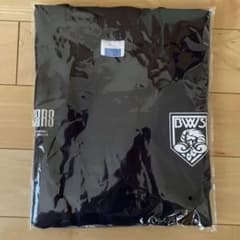 福井ブローウィンズ　応援 Tシャツ - 3