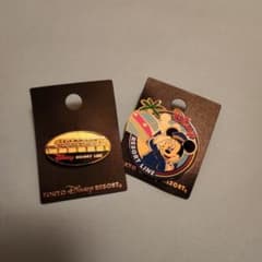 東京ディズニーリゾート ピンバッジセットのサムネイル