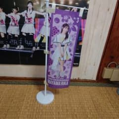 真山りか　のぼり　私立恵比寿中学のサムネイル