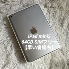 早い者勝ち】iPad mini5 64GB SIMフリー【すぐ発送】【付属品】 - メルカリ