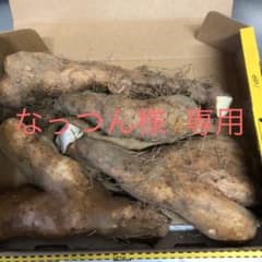長野県産 短形 自然薯のサムネイル