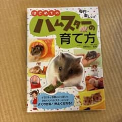 はじめてのハムスターの育て方 : 毎日楽しい!のサムネイル