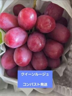 ☆朝採り農家直送☆クイーンルージュ☆大粒〜中粒☆コンパスト発送
