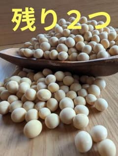 ７年北海道産大豆ゆきほまれ＊お手頃500gのサムネイル