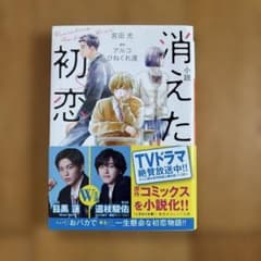 小説 消えた初恋 集英社オレンジ文庫のサムネイル