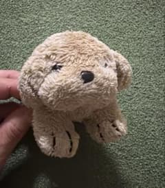 犬 ぬいぐるみ ベージュのサムネイル