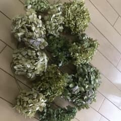 NeNe様　確認用ドライフラワーのサムネイル