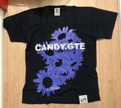 GLAYTシャツ⭐︎CANDY GTE STRIPPER Tシャツ⭐︎TERUのサムネイル