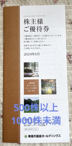 東急ホールディングス株主優待券のサムネイル