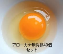 放し飼いアローカナ無洗卵40個セットのサムネイル