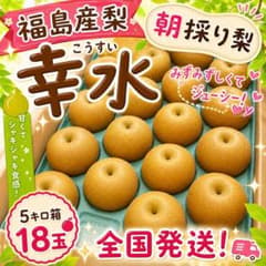 福島産梨 幸水5キロ箱18玉 家庭用のサムネイル