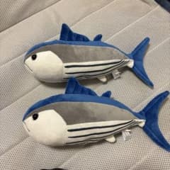 高知限定　かつおのぬいぐるみのサムネイル