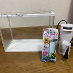 プラスティック水槽　３０㎝のサムネイル