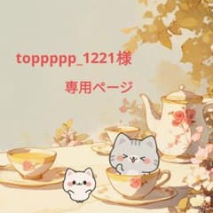 収穫したて 新鮮ローゼル 800gのサムネイル