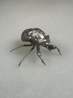 蝉　蝉の抜け殻　セミ　オブジェ　虫好きのサムネイル