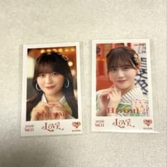 이코 러브 타카 마츠 히토미 미니 사진 묶음 판매 vol.11