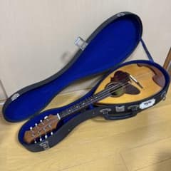 1970年製】SUZUKI マンドリン No.228 ハードケース付 - メルカリ