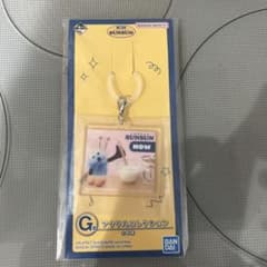 파펫 승순 이치 반 쿠지 아크릴 컬렉션