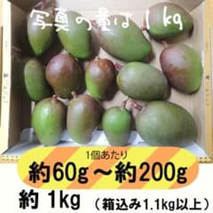 黄/橙1-7】グリーンマンゴー 青マンゴー 摘果マンゴー 約1kg - メルカリ