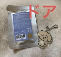 【公式】SEVENTEEN ドア ミニティーン アクリルキーホルダーのサムネイル