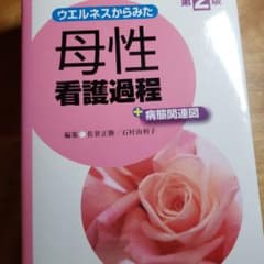 ウエルネスからみた母性看護過程+病態関連図のサムネイル