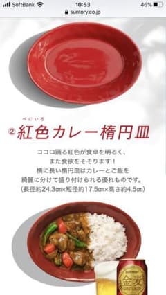 金麦　あいあいカレー皿　2枚セットのサムネイル