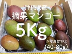 沖縄　摘果マンゴー　グリーンマンゴー　10kg Amazon.co.jp: MDSTORE 沖縄青切りマンゴー 摘果マンゴー Green Raw