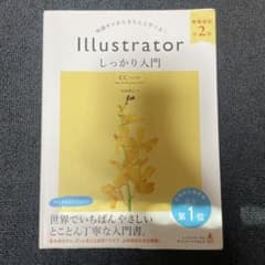 Illustratorしっかり入門 知識ゼロからきちんと学べる!のサムネイル