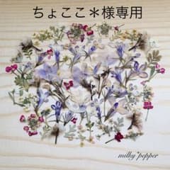 ちょここ＊様専用 B級品 ドライフラワー 押し花 ロベリア、ネメシアミックスのサムネイル