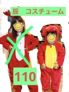 辰　コスチューム　110 着ぐるみ　コスプレ　ドラゴン　年賀状のサムネイル