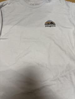 patagonia Lサイズ Tシャツ 山デザインのサムネイル