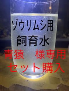 メダカとミジンコの飼育水　＊期間限定の増量中＊のサムネイル