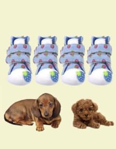 犬靴　イチゴ柄　M sizeのサムネイル