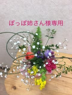 ぽっぽ姉さん様専用のサムネイル