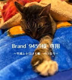 【Brand 9459様専用】平成レトロメモ帳のサムネイル