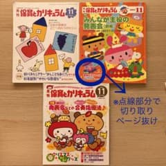 保育とカリキュラム11月 (2004年/2005年/2008年)のサムネイル