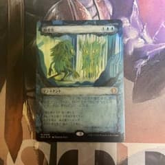 鏡変化 MTG ECL 日本語 foil ショーケース版 - メルカリ