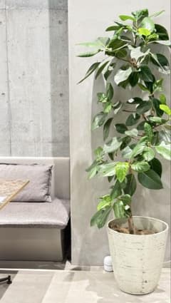 [Gulcasa 님 전용] 킹덤 하트