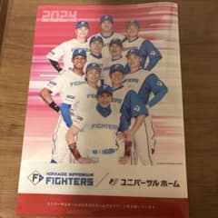 北海道日本ハムファイターズ 2024 クリアファイル - メルカリ