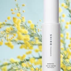 未使用に近い】SHIRO MIMOSA オードパルファン 40ml - メルカリ