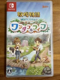 Welcome! ワンダフルライフ (Nintendo Switch)のサムネイル