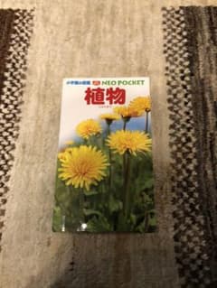 植物　小学館の図鑑　ネオポケットのサムネイル