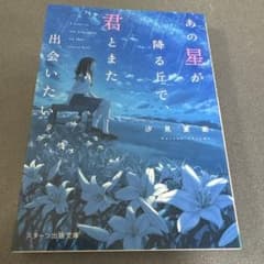 あの星が降る丘で、君とまた出会いたい。のサムネイル