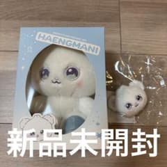 nmixx へウォン　ぬいぐるみ　キーリング　セット　HAENGMANI nmixx へウォン ぬいぐるみ キーリング セット HAENGMANI - メルカリ