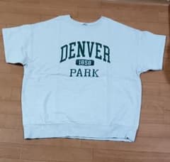 INGNI 半袖Tシャツ グレー DENVER PARK - 4
