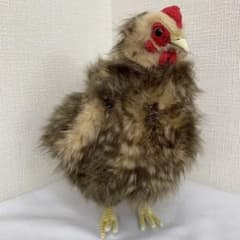 めんどり ベージュ ニワトリ ぬいぐるみ ハンサ HANSA ベージュ　めんどり　no.13 ニワトリ ハンサ　ぬいぐるみ HANSA no.13 メルカリ - ぬいぐるみ