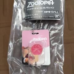 [주트 피어] 매력 컬렉션 아이스 캔디