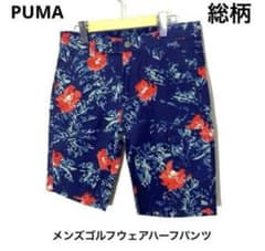 PUMA Men's Golf Wear Half Shorts (All-over Print)