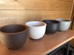 4個セット 伝市鉢 4号 黒化粧 パキポディウム 塊根 鶴仙園 カタチ製作所 4個セット 伝市鉢 4号 黒化粧 パキポディウム 塊根 鶴仙園 カタチ